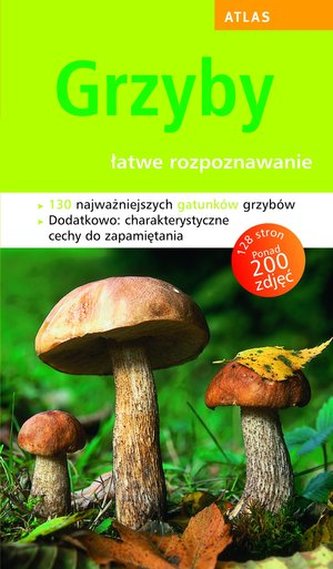 GRZYBY ŁATWE ROZPOZNAWANIE