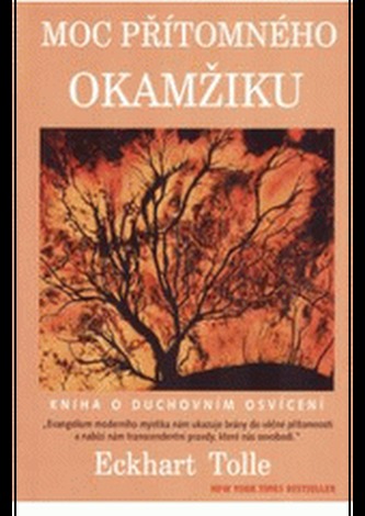 Moc přítomného okamžiku