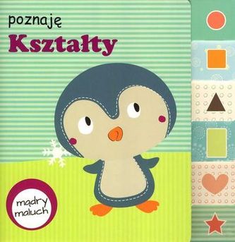 POZNAJĘ KSZTAŁTY MĄDRY MALUCH