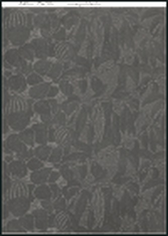 Kotěra/Plečnik - korespondence