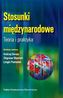 STOSUNKI MIĘDZYNARODOWE TEORIA I PRAKTYKA WYD. 2