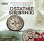 CD MP3 OSTATNIE SREBRNIKI