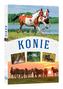 Konie