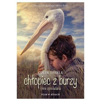 Chłopiec z burzy i inne opowiadania, wydanie filmowe