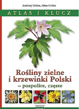 Atlas i klucz. Rośliny zielne i krzewinki Polski - pospolite, częste