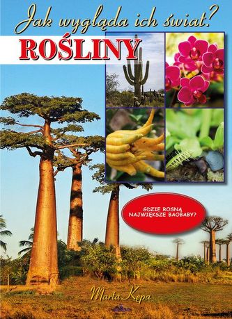 Rośliny. Jak wygląda ich świat?