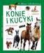 KONIE I KUCYKI NASI ULUBIEŃCY