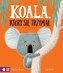 Koala, który się trzymał