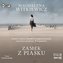 Zamek z piasku audiobook