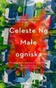 Małe ogniska
