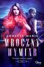 Trylogia mistrza magii T.1 Mroczny wymiar