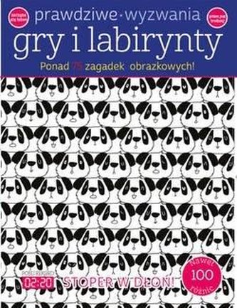 Prawdziwe wyzwania: Gry i labirynty