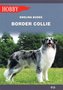 Border Collie w.2020