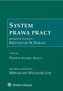 System Prawa Pracy T.8 Prawo rynku pracy