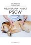 Fizjoterapia i masaż psów