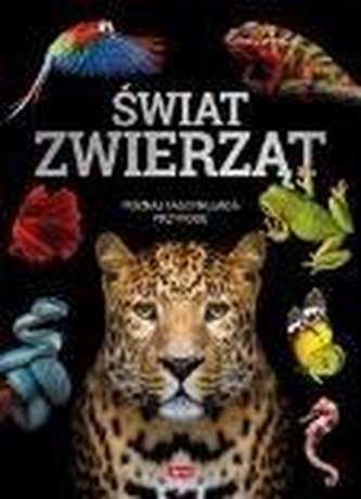 Świat zwierząt