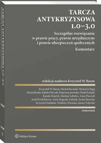 Tarcza antykryzysowa 1.0 - 3.0.