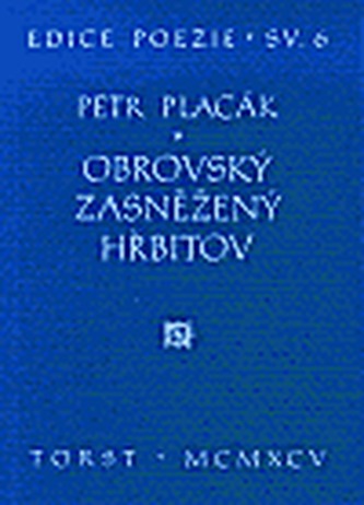 Obrovský zasněžený hřbitov