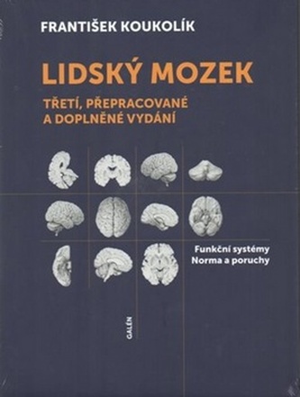 Lidský mozek