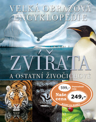 Zvířata a ostatní živočichové