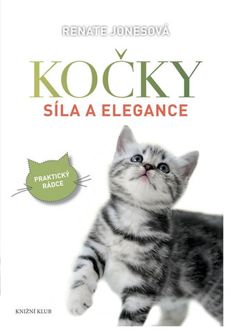 Kočky