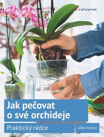 Jak pečovat o své orchideje - Praktický rádce