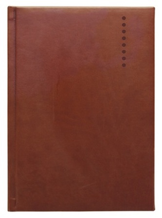 Diář 2013 denní A5 - Arges