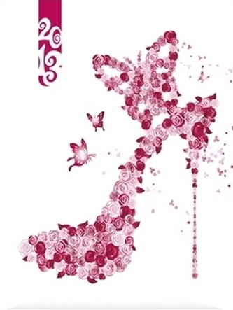 Diář 2013 Crazy týdenní B6 - Romance