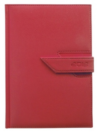 Diář 2013 denní B6 - Agama červená