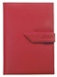 Diář 2013 denní B6 - Agama červená