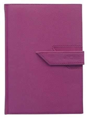 Diář 2013 denní B6 - Agama růžová