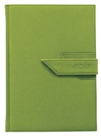 Diář 2013 denní B6 - Agama zelená