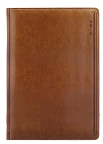 Diář 2013 týdenní B5 - Kastor