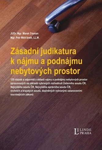 Zásadní judikatura k nájmu a podnájmu nebytových prostor