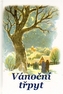 Vánoční třpyt