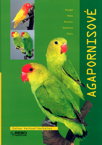 Agapornisové