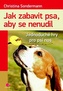 Jak zabavit psa, aby se nenudil - Jednoduché hry pro psí nos