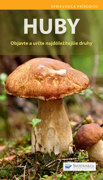 Huby - Objavte a určte najdôležitejšie druhy