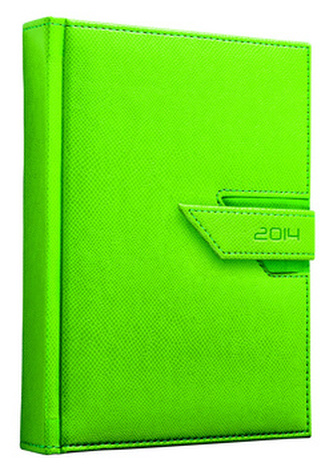 Diář 2014 Agama zelená