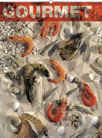 Gourmet - nástěnný kalendář 2014