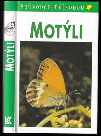 Motýli
