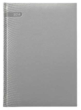 Diář 2014 - Dorato stříbrný - denní A5