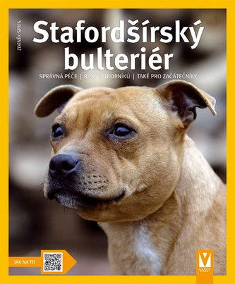 Stafordšírský bulteriér - Jak na to