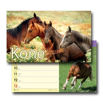 Koně - stolní kalendář 2015
