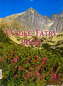 Vysoké Tatry 2008 - nástěnný kalendář