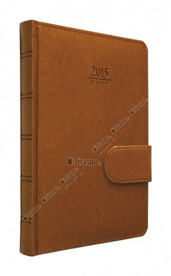 Diář 2014 - Kastor s poutkem na zavření denní A5