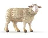 Ovce Merinos