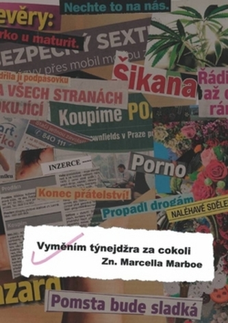 Vyměním týnejdžra za cokoli