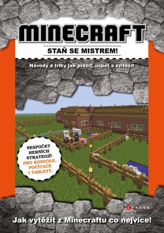 Minecraft - staň se mistrem!