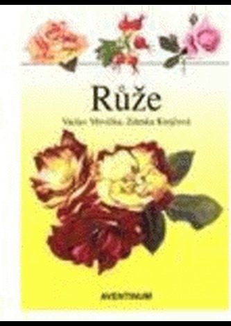 Růže